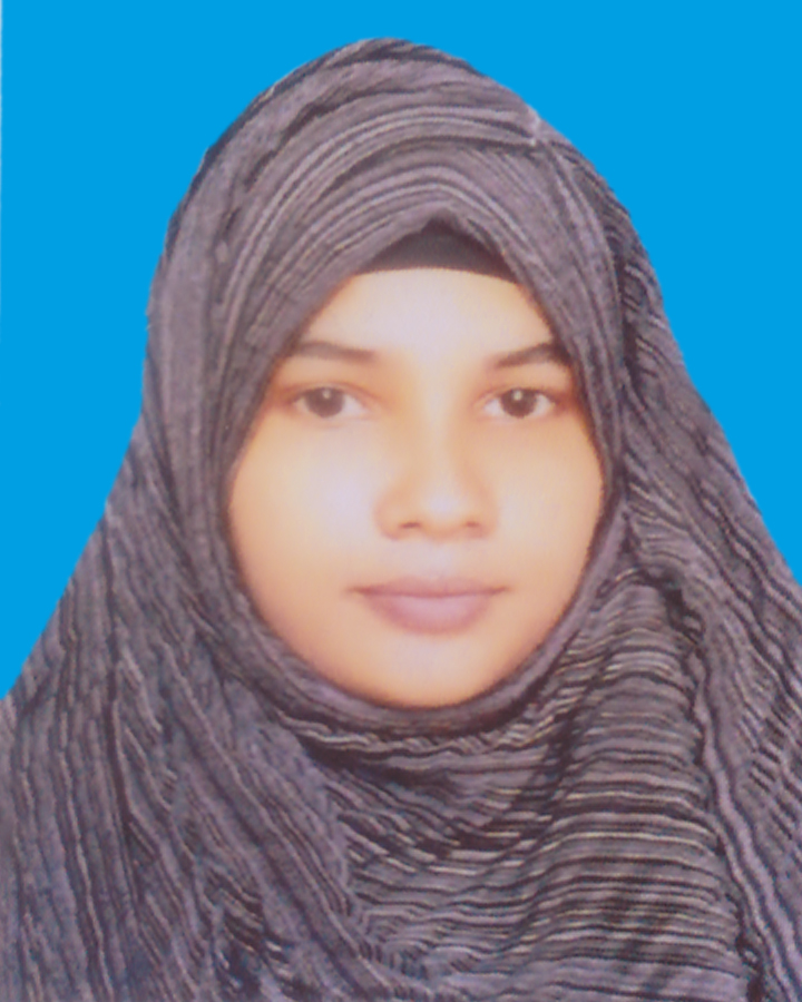 Bangladesh technical and software institute