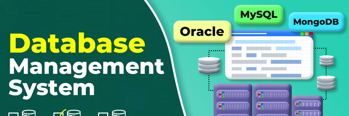 Bangladesh Technical and Software Institute